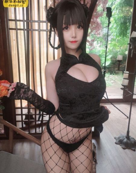 文豪野犬在哪里看