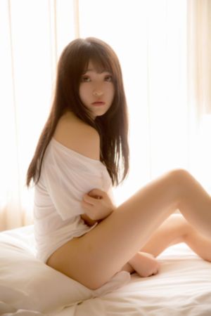 秘密入侵第二集