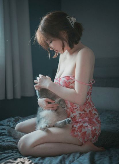 幻乐森林电视剧免费观看完整版