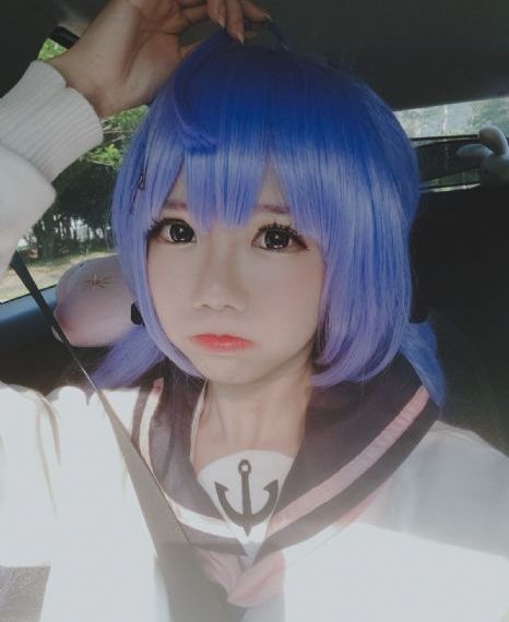 藏海花全集
