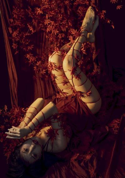 山河恋之美人无泪