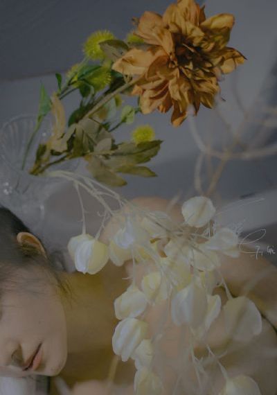 法证先锋6电视剧全集在线观看