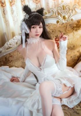 宝可梦日月